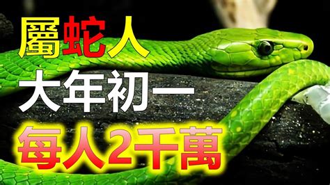 蛇的幸運顏色|【屬蛇 顏色】屬蛇2024專屬配色攻略：揭密幸運色和禁忌色，助。